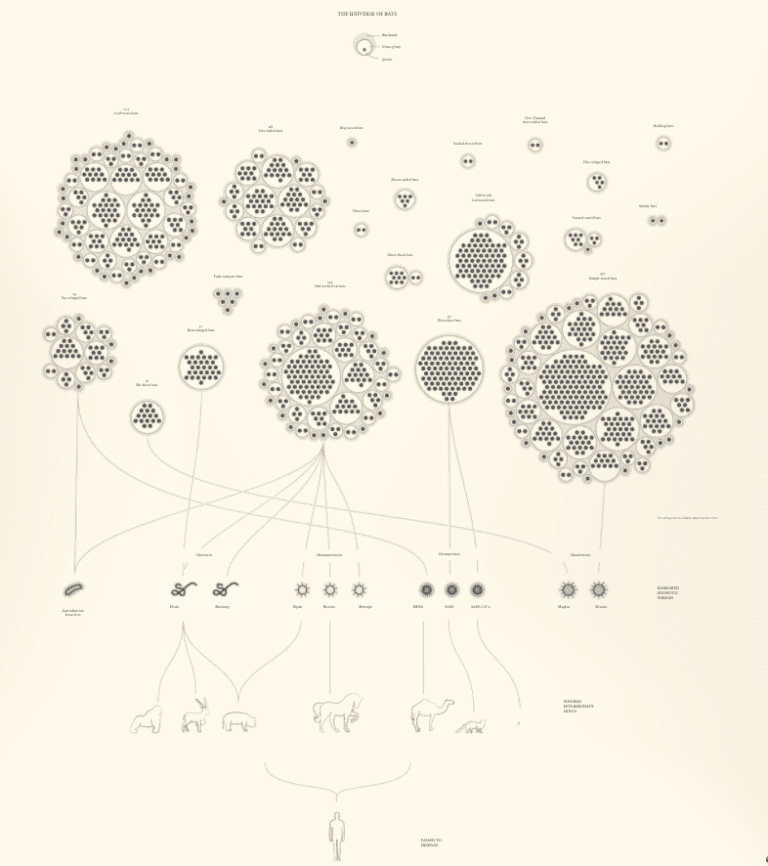 25+ Impressive Data Visualization Examples 2026 | Maptive