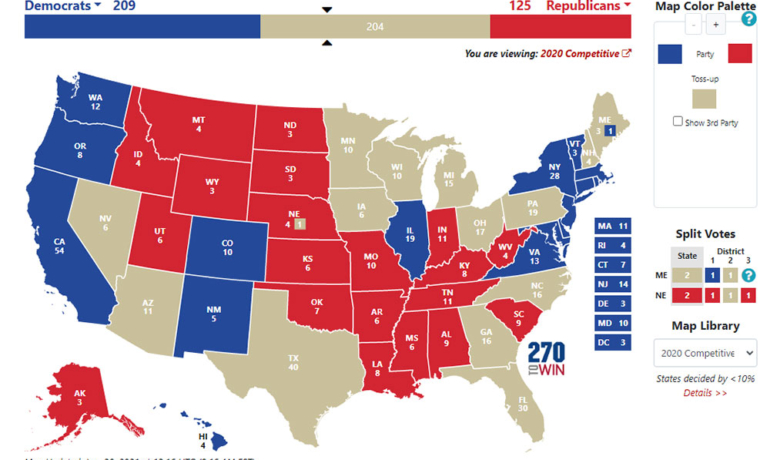 what is a political map